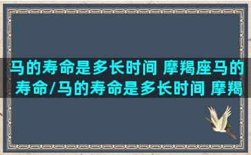 马的寿命是多长时间 摩羯座马的寿命/马的寿命是多长时间 摩羯座马的寿命-我的网站